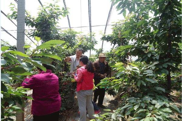 QQ圖片20150521114659.png QQ圖片20150521114659.png