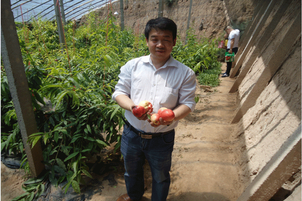 QQ圖片20150521114716.png QQ圖片20150521114716.png